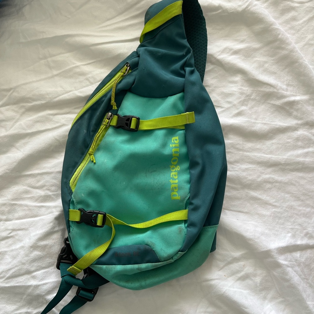 Patagonia Crossbody Day bag